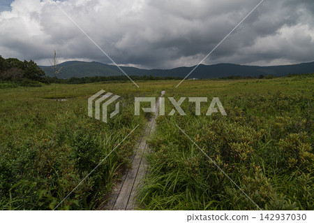 A wooden boardwalk stretching across the Hakkoda wetlands under a cloudy sky. A wooden boardwalk stretching across the Hakkoda wetlands under a cloudy sky. 142937030