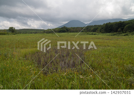 Summer in the green wetlands and mountain ranges of Hakkoda Summer in the green wetlands and mountain ranges of Hakkoda 142937031