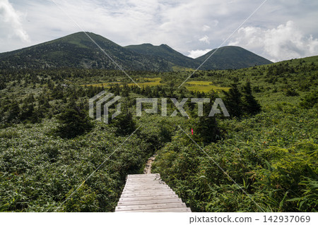 八甲田的木棧道和綠色的山脈 八甲田的木棧道和綠色的山脈 142937069
