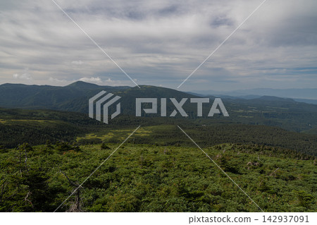 八甲田翠綠的山坡和遠處的山脈 八甲田翠綠的山坡和遠處的山脈 142937091