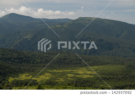 從空中俯瞰八甲田山坡上的森林和濕地。 從空中俯瞰八甲田山坡上的森林和濕地。 142937092
