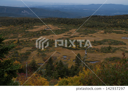 An aerial view of the high-altitude wetlands and autumn foliage forest of Hakkoda. An aerial view of the high-altitude wetlands and autumn foliage forest of Hakkoda. 142937297