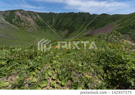 The crater wall of Mount Yotei and the summer alpine plant meadows. The crater wall of Mount Yotei and the summer alpine plant meadows. 142937375