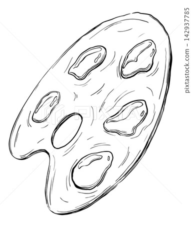 Hand drawn artist paint palette with dabs of paint. Monochrome black and white ink illustration, vintage line art style, isolated on white. Great for logos, labels, cards and packaging. Hand drawn artist paint palette with dabs of paint. Monochrome black and white ink illustration, vintage line art style, isolated on white. Great for logos, labels, cards and packaging. 142937785