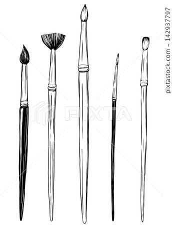 Hand drawn set of artist paint brushes for watercolor, acrylic and gouache. Monochrome black and white ink illustration, vintage line art style, isolated on white. For art shop or school 142937797
