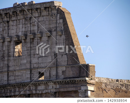 Bird Flying Past the Colosseum Ruins in Rome Italy Bird Flying Past the Colosseum Ruins in Rome Italy 142938934