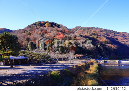 嵐山（京都市右京區）的秋景 142939432