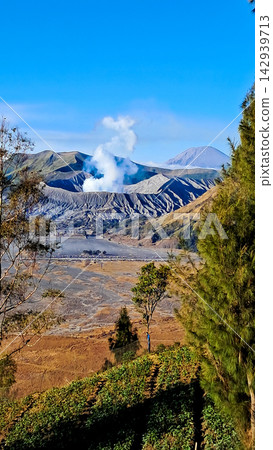 Beautiful morning view of Mount Bromo and Mount Semeru in East Java, Indonesia. Beautiful morning view of Mount Bromo and Mount Semeru in East Java, Indonesia. 142939713