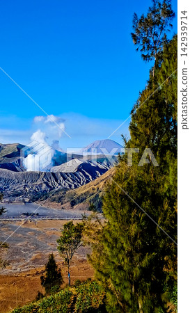 Beautiful morning view of Mount Bromo and Mount Semeru in East Java, Indonesia. Beautiful morning view of Mount Bromo and Mount Semeru in East Java, Indonesia. 142939714
