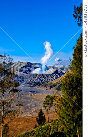 Beautiful morning view of Mount Bromo and Mount Semeru in East Java, Indonesia. Beautiful morning view of Mount Bromo and Mount Semeru in East Java, Indonesia. 142939715