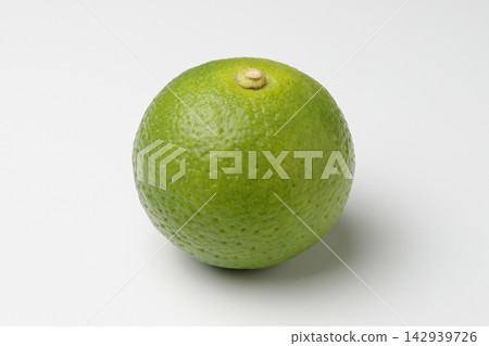 One kabosu placed on a white background One kabosu placed on a white background 142939726