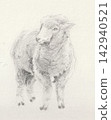 A pencil sketch of a calm sheep 142940521