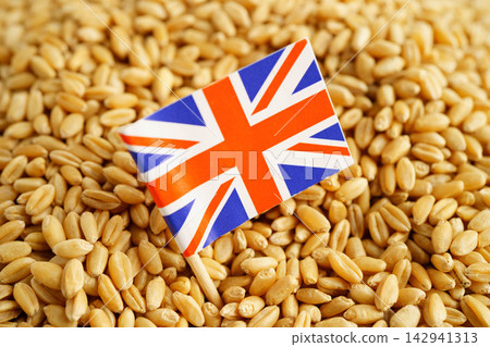 United Kingdom flag on grain wheat, trade export and economy concept. United Kingdom flag on grain wheat, trade export and economy concept. 142941313