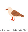 Cute standing seagull character vector illustration facing left. Marine sea bird isolated on white background for beach prints, nursery decor, and stickers 142942266