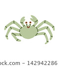 Cute green crab character vector illustration with claws and long legs. Ocean animal isolated on white background for nursery prints, stickers, and beach decor 142942286