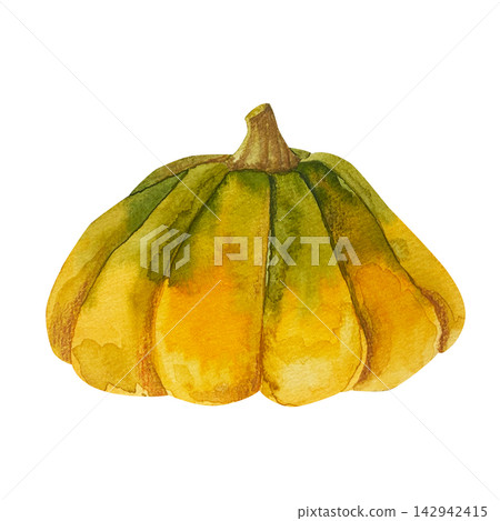 Watercolor hand drawn autumn illustration of a decorative pumpkin of the Scheherazade . 142942415