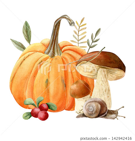 Hand-drawn watercolor composition of pumpkin, wild mushrooms, berries, twigs, and a snail Hand-drawn watercolor composition of pumpkin, wild mushrooms, berries, twigs, and a snail 142942416
