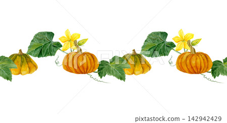 watercolor seamless border with pumpkins illustration with vibrant yellow flower and green leaves watercolor seamless border with pumpkins illustration with vibrant yellow flower and green leaves 142942429