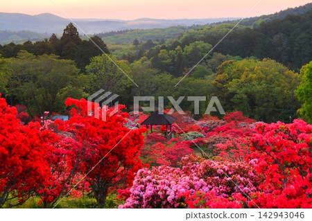 Sunrise at Kasama Azalea Park Sunrise at Kasama Azalea Park 142943046