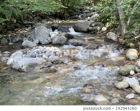 Clear mountain stream flowing among rocks through forest Clear mountain stream flowing among rocks through forest 142943260