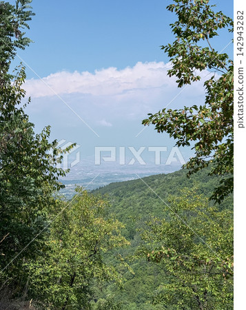 Lush forest valley overlooking distant green mountain landscape Lush forest valley overlooking distant green mountain landscape 142943282