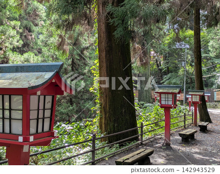 高尾山，1號步道，朝聖路線，健行路線，紅燈籠 142943529