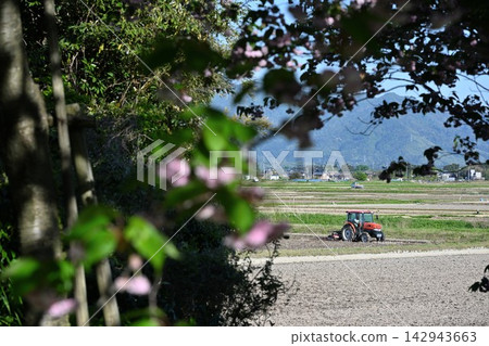 Rural landscape of Agano City, a tractor, and cherry blossoms (Agano City, Niigata Prefecture) Rural landscape of Agano City, a tractor, and cherry blossoms (Agano City, Niigata Prefecture) 142943663