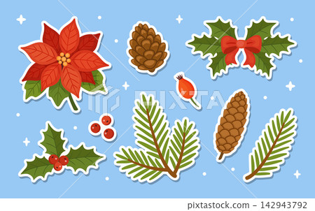 Christmas Floral Sticker Pack Elements Hand Drawn Flat Vector Set Christmas Floral Sticker Pack Elements Hand Drawn Flat Vector Set 142943792