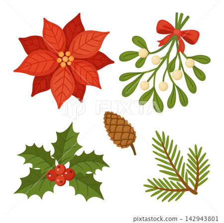 Christmas Floral Elements Set Hand Drawn Flat Vector Decoration Christmas Floral Elements Set Hand Drawn Flat Vector Decoration 142943801