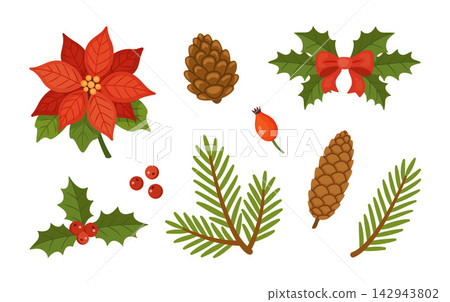 Christmas Floral Elements Mega Set Hand Drawn Flat Vector Icons Christmas Floral Elements Mega Set Hand Drawn Flat Vector Icons 142943802