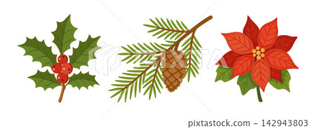 Christmas Floral Elements Set Hand Drawn Flat Vector Decoration Christmas Floral Elements Set Hand Drawn Flat Vector Decoration 142943803
