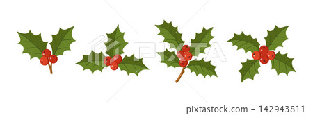 Christmas Holly Berry Vector Branch Set Hand Drawn Foliage Icons Christmas Holly Berry Vector Branch Set Hand Drawn Foliage Icons 142943811