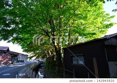 The townscape along the Goya River, enveloped in fresh greenery (Gosen City, Niigata Prefecture) The townscape along the Goya River, enveloped in fresh greenery (Gosen City, Niigata Prefecture) 142943910