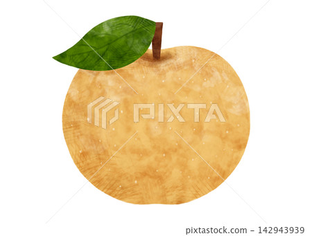 Watercolor illustration of a Japanese pear with leaves, on a white background with transparency. Watercolor illustration of a Japanese pear with leaves, on a white background with transparency. 142943939