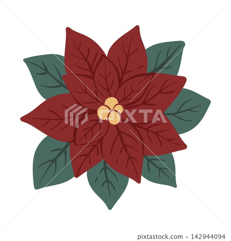 Christmas poinsettia flower, festive botanical, vector illustration. Layered pointed petals create a full seasonal bloom with expressive hand-drawn contours and rich ornamental detail Christmas poinsettia flower, festive botanical, vector illustration. Layered pointed petals create a full seasonal bloom with expressive hand-drawn contours and rich ornamental detail 142944094
