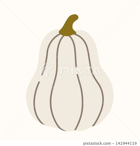 White elongated pumpkin vector outline illustration, tall ribbed squash with olive stem, autumn harvest vegetable, elegant rustic botanical line art White elongated pumpkin vector outline illustration, tall ribbed squash with olive stem, autumn harvest vegetable, elegant rustic botanical line art 142944119