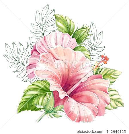 Tropical hibiscus floral arrangement with palm leaves watercolor clipart isolated Tropical hibiscus floral arrangement with palm leaves watercolor clipart isolated 142944125