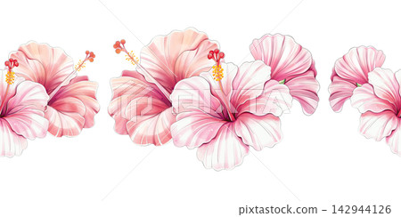 Watercolor hibiscus floral seamless pattern tropical clipart, border Watercolor hibiscus floral seamless pattern tropical clipart, border 142944126