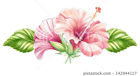 Tropical hibiscus floral arrangement, watercolor border ornament Tropical hibiscus floral arrangement, watercolor border ornament 142944127
