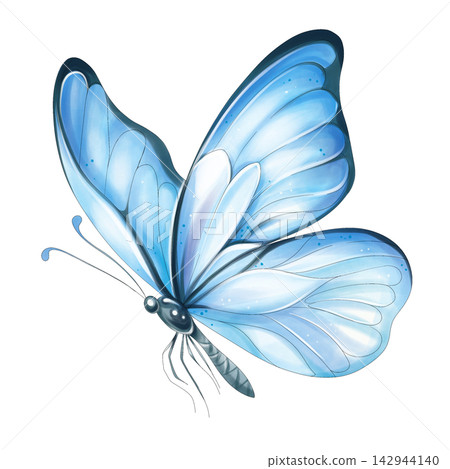 Blue butterfly watercolor illustration clipart isolated Blue butterfly watercolor illustration clipart isolated 142944140
