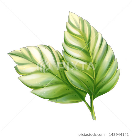 Green fresh leaf watercolor botanical clipart isolated 142944141