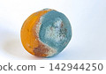 Rotten orange fruit covered with blue and green mold isolated on white background 142944250