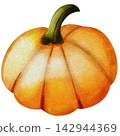 halloween 142944369