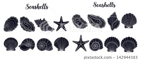 Detailed outline vector collection of various seashells and starfish for coastal themed graphic design projects Detailed outline vector collection of various seashells and starfish for coastal themed graphic design projects 142944383