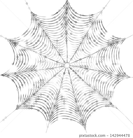 Delicate Beaded Spider Web on White Background 142944478