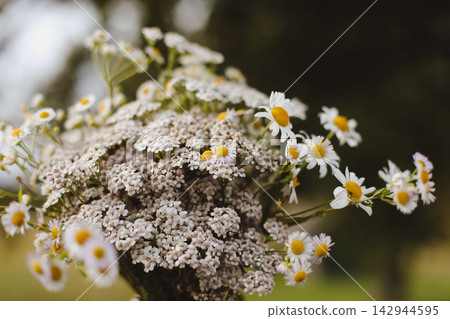 Wild flowers in a sunny day. Flower field in sunlight, spring or summer garden background. flowers meadow field in morning light. flowers in meadow on warm summer morning with blurred background. 142944595