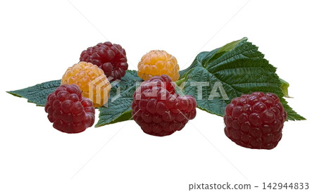 Fresh red and golden raspberries with green leaves isolated on white background 142944833