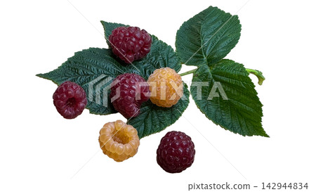 Fresh red and yellow raspberries with green leaves isolated on white background Fresh red and yellow raspberries with green leaves isolated on white background 142944834