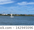 White Sailboat Sailing in Blue Ocean Bay with Seagulls 142945096