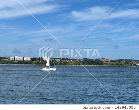 White Sailboat Sailing in Blue Ocean Bay with Seagulls 142945096